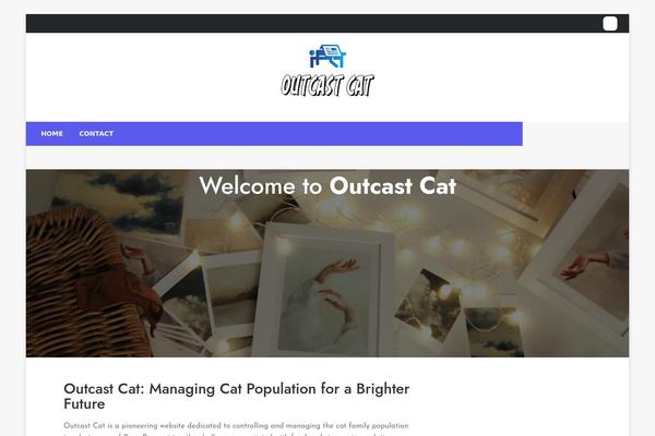 Newspaperss theme site design template sample