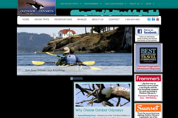 Dist theme site design template sample