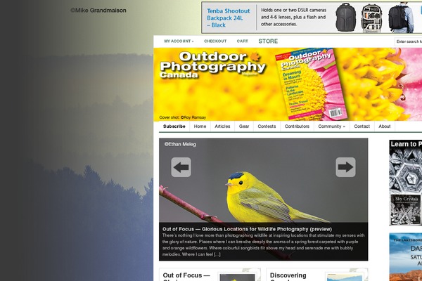 Site using Codecanyon-4252736-imagepress plugin