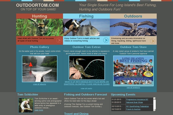 Site using FLV Embed plugin