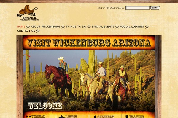 Site using Wp-social-feed plugin