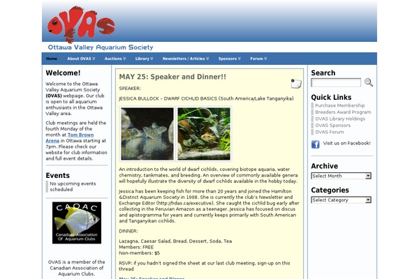 Atahualpa353 theme site design template sample