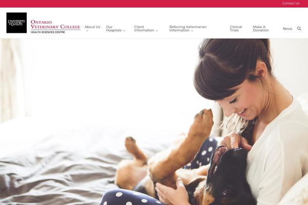 Site using Lifelearn-accessibility plugin