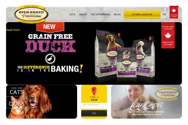 Wpactivis theme site design template sample