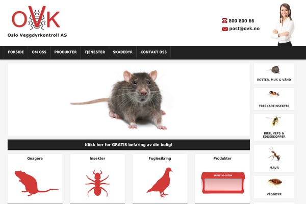 Etalon-child theme site design template sample