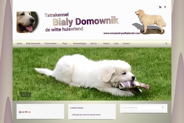 evolve theme site design template sample