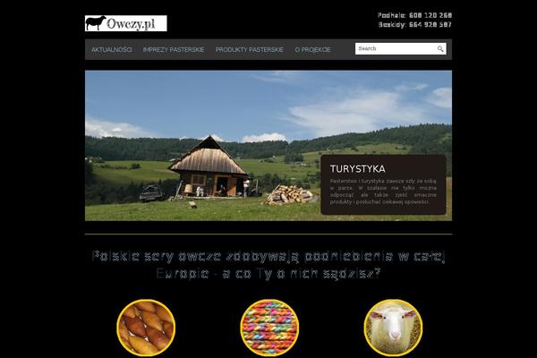 BlackBird theme site design template sample