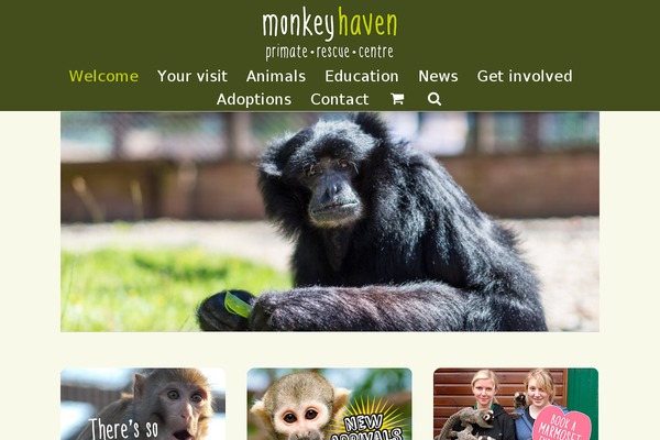 Site using ACF Recent Posts Widget plugin