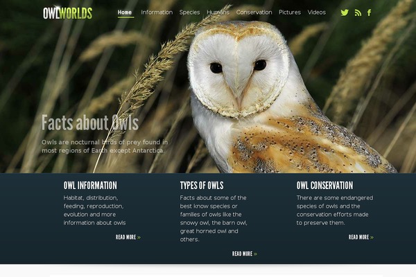 Fusion-child theme site design template sample