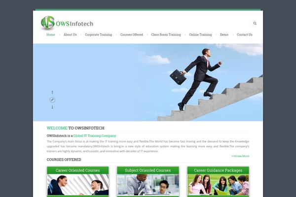 Statfort theme site design template sample