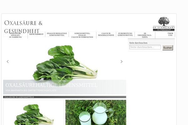 Network Theme theme site design template sample
