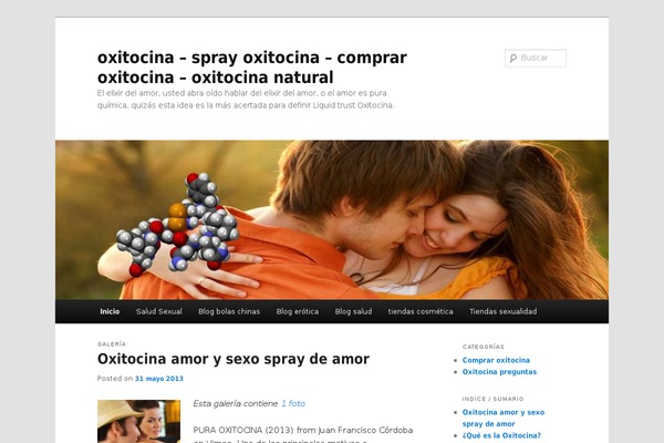 Twenty Eleven theme site design template sample