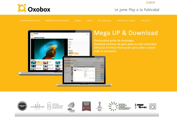 Chamber theme site design template sample