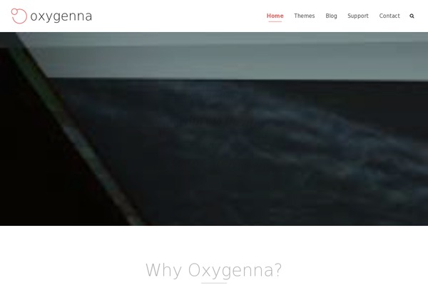 Site using Surbma-gdpr-proof-google-analytics plugin