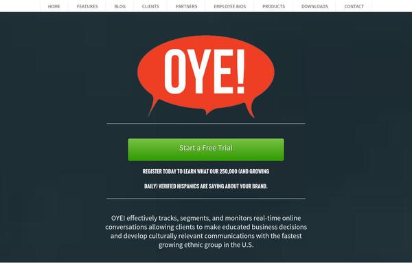 oyeintelligence.com site used Oye-child-theme