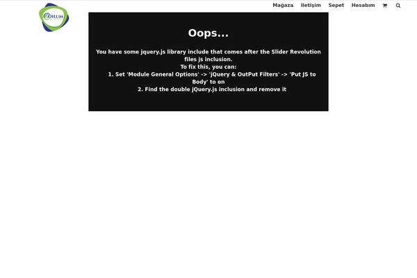 Avada-3 theme site design template sample