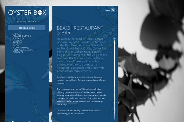 Oyster theme site design template sample