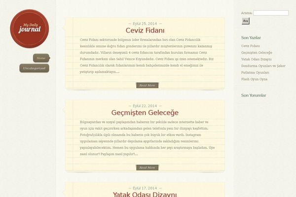 DailyJournal theme site design template sample