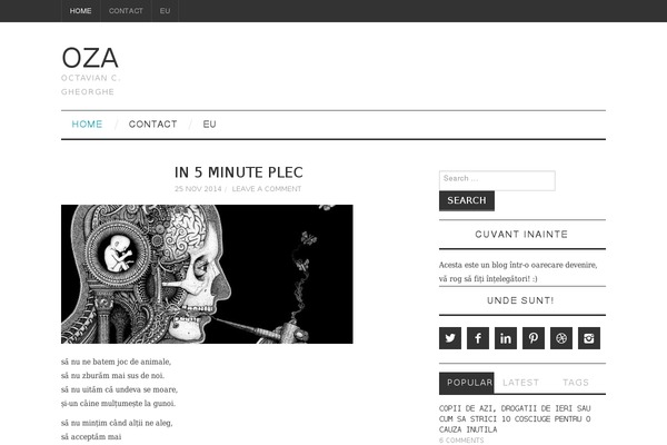 Fashionista theme site design template sample