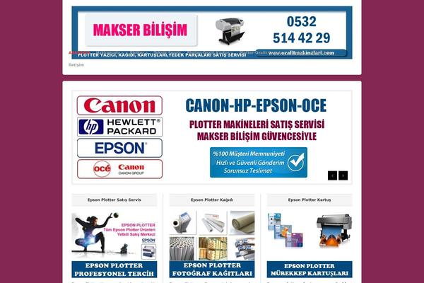 Bizz theme site design template sample