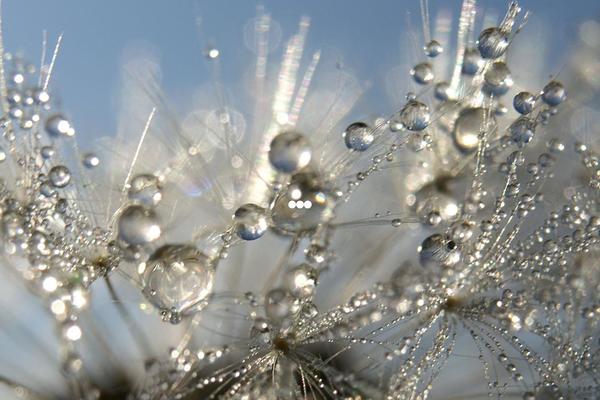 Site using Simple Facebook Page Widget & Shortcode plugin