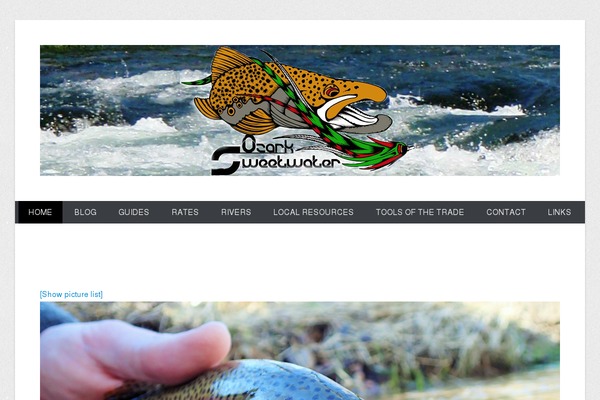 Catch Everest theme site design template sample
