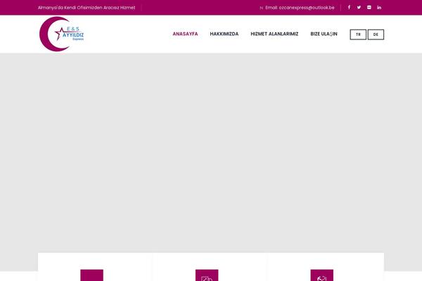 Site using Themetechmount-boldman-extras plugin