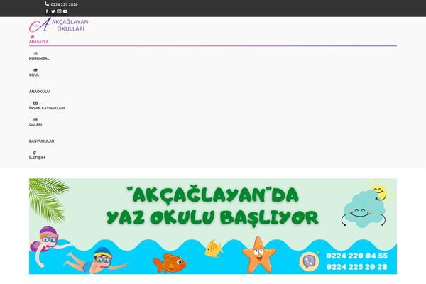 ozelakcaglayanokullari.com site used Ozel