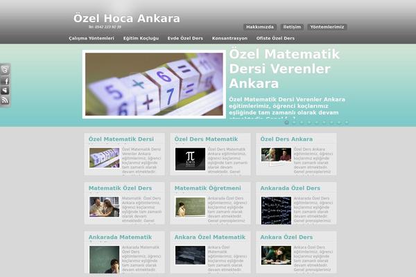 ozelhocaankara.com site used Angelia2