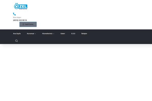 Maxbizz theme site design template sample