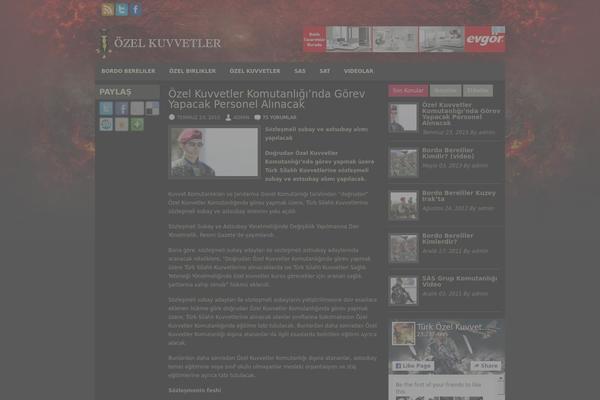 MusicNation theme websites examples