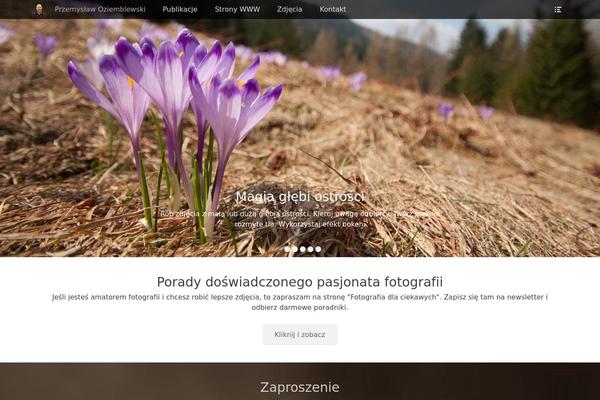 Full Frame theme site design template sample