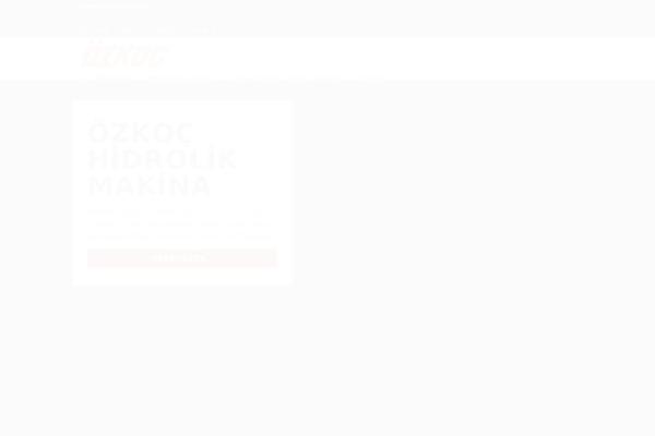 Site using Wp-yandex-metrika plugin