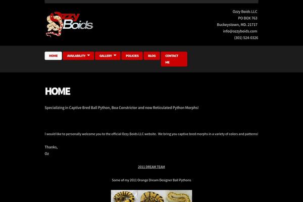Newyork theme site design template sample