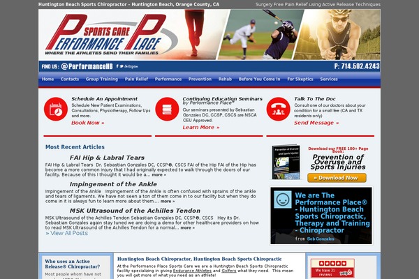 Cognoblue theme site design template sample