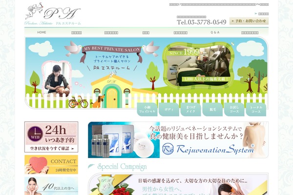Pa theme site design template sample