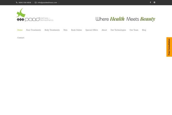 Apicona theme site design template sample
