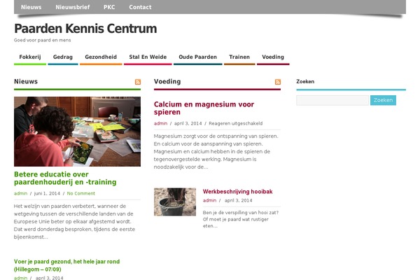 MesoColumn theme site design template sample