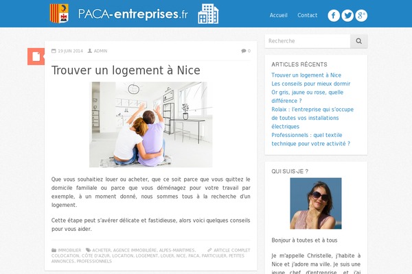 Icy theme site design template sample