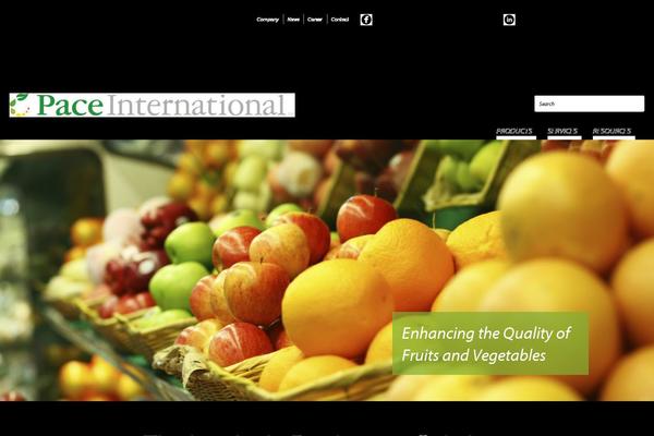 Pace theme site design template sample