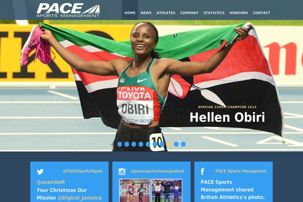 Pace theme site design template sample