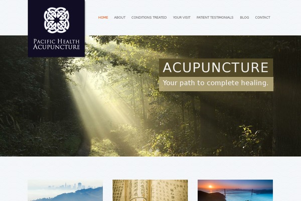 Mammoth-wp theme site design template sample