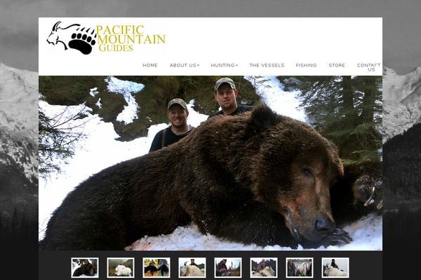 Dandelion v.2.6.7 theme site design template sample