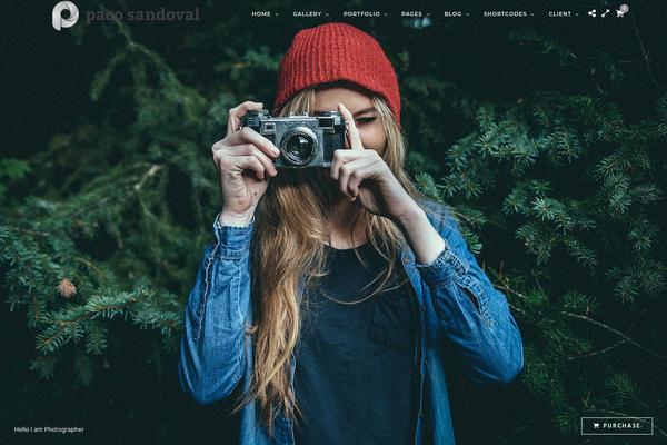 Photography theme site design template sample