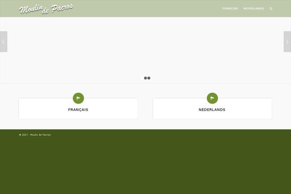 Enfold theme site design template sample