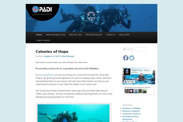 padiproseurope.com site used Duckdiverframework