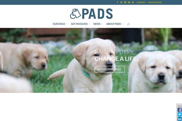 Divi child theme site design template sample