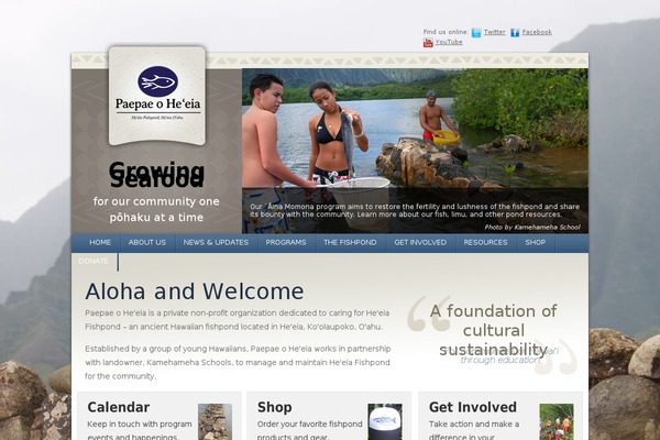 Site using AddToAny Share Buttons plugin