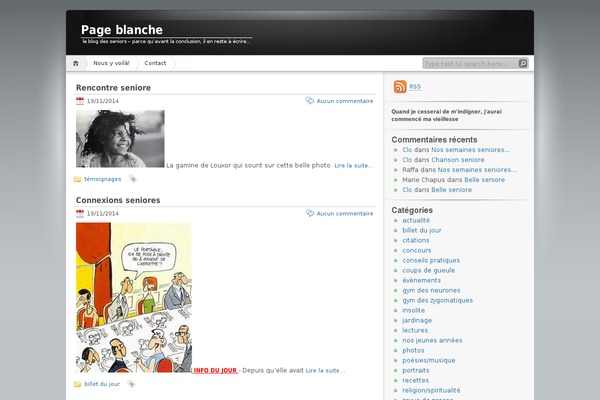 Chique theme site design template sample