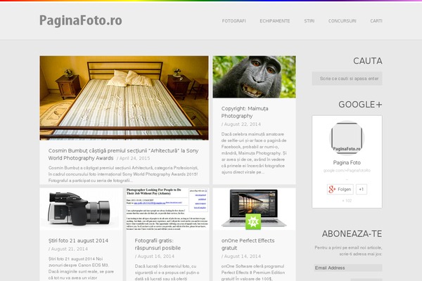 Site using Custom-about-author plugin
